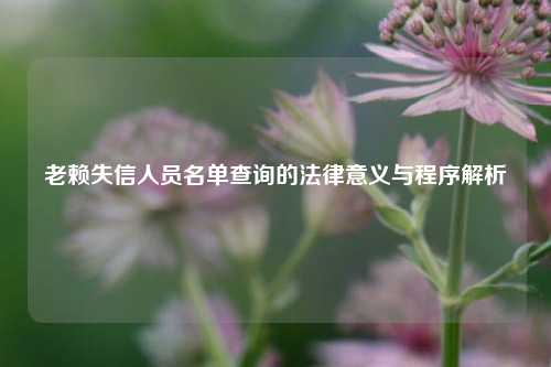 老赖失信人员名单查询的法律意义与程序解析