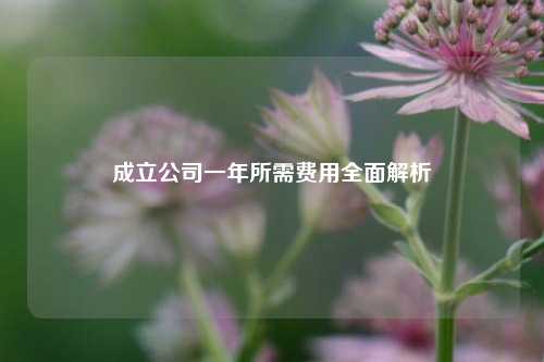 成立公司一年所需费用全面解析